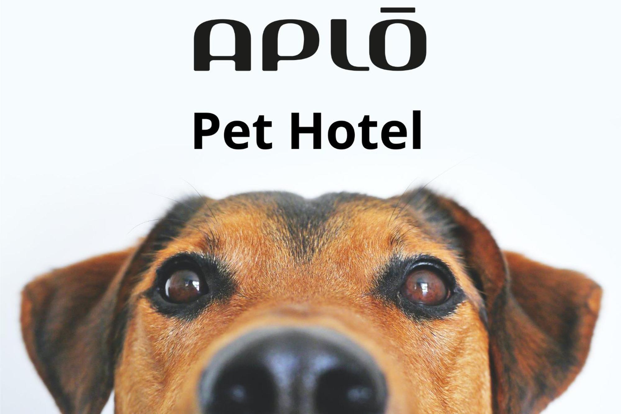 Hotel Aplo - Breakfast Experience Cervia Ngoại thất bức ảnh